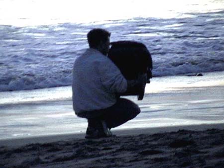 52beach_steve_hailey1